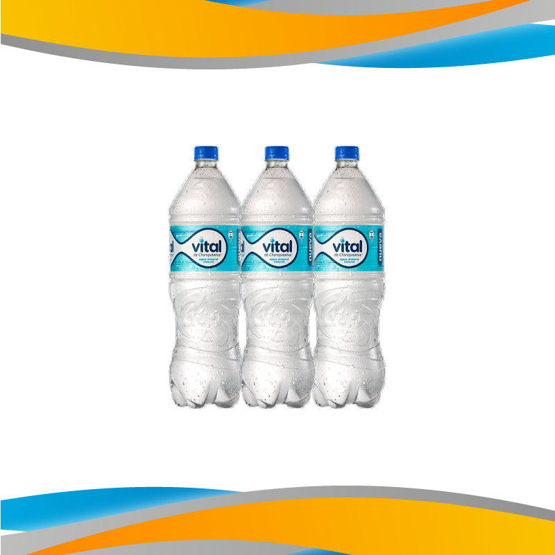 AGUA VITAL CON GAS